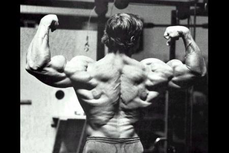 Arnold-Schwarzenegger-massive-back-muscles.jpg