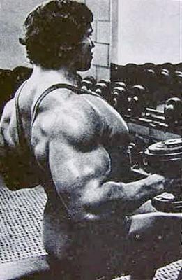 Arnold_Schwarzenegger_193700.jpg