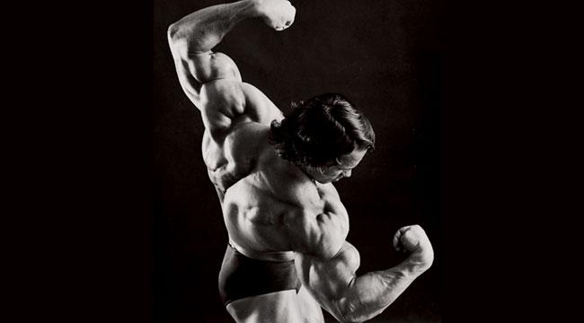 Arnold-Schwarzenegger-Shoulders.jpg