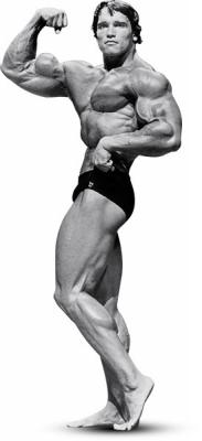 arnolds-blueprint-for-massive-shoulders-and-arms-arnold-series-musclepharm-graphic-4.jpg